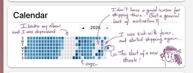 A calendar for the year 2025 shows a visual representation of completed days with blue squares. There are several holes in the calendar with handwritten notes explaining reasons for not completing the task during the “hole” periods. 
