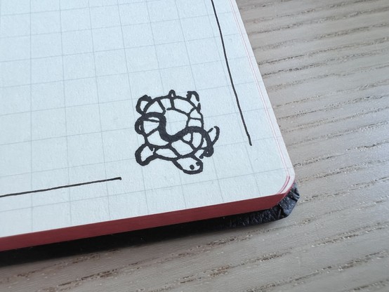Bottom right corner of a notebook showing a grid page with the stamp of a turtle on it. The turtle is facing the bottom of the page and has a snake entangled on its back. 