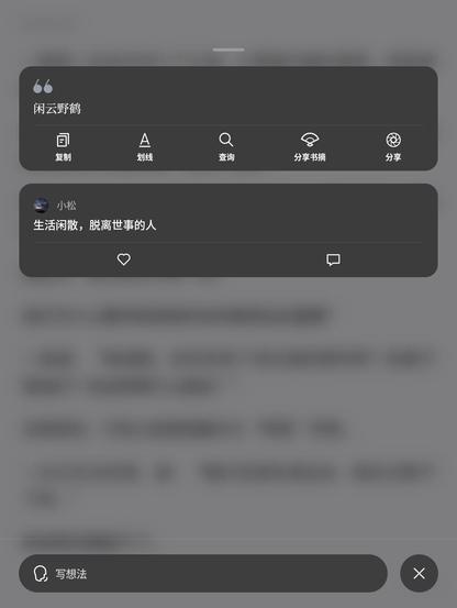Screenshot of an e-reader showing a quote from a book: 闲云野鹅 with icons like “copy”, “search” or “share” and a comment left by someone that says: 生活闲散,脱力世事的人 with options to like or reply to this comment. Both the quote and the comment appear in a dark window on top of the original text which is blurred in the background.