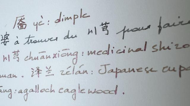 close-up of a page with handwritten notes (mostly Chinese vocabulary explained in English). The ink used is a base green, but it has a pink shimmer (the glitter is really visible on some letters) to the point where it’s hard to tell if the ink is green or pink. 